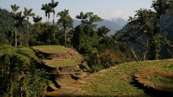 ¿Quiere conocer Ciudad Perdida? Aquí le contamos cómo llegar desde Santa Marta