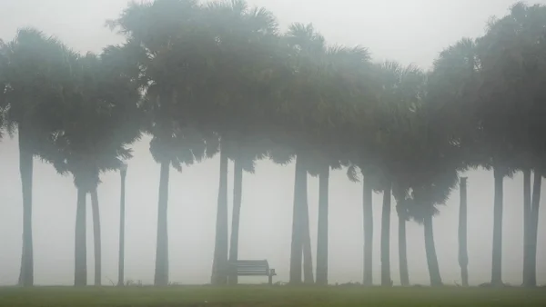 Huracán Milton tocó tierra en Siesta Key, Sarasota, con categoría 3