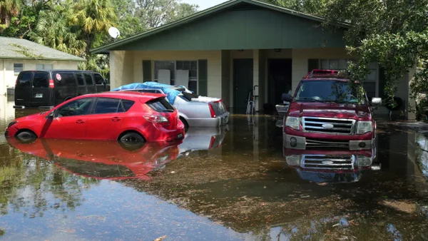 Hombre halló por sorpresa un cocodrilo en su casa tras las inundaciones por el huracán Milton