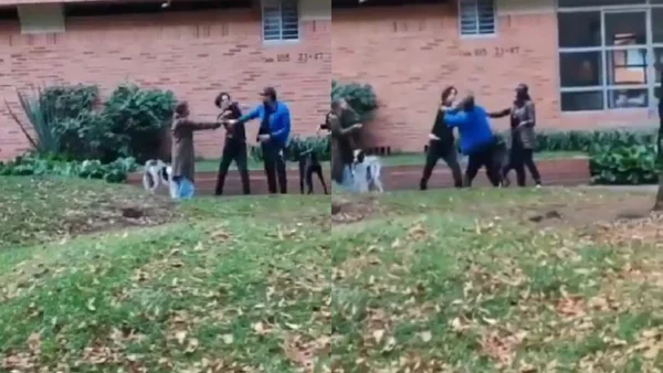 Famoso youtuber protagonizó pelea callejera en Bogotá y el video se hizo viral