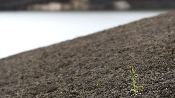 Recomiendan no declarar la situación de desastre por sequía en Bogotá