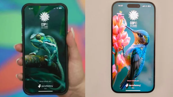 COP16: aplicaciones para no perderse de nada (y no perderse en Cali)