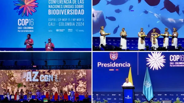 Así fue la inauguración de la COP16 en Cali: artistas, comunidades y naturaleza