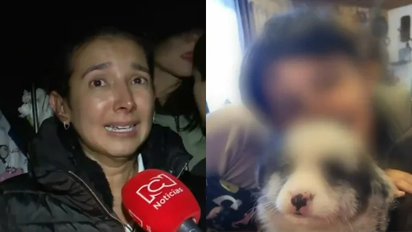 “Justicia por mi bebé”: clamor de la madre del menor atropellado en el norte de Bogotá “Justicia por mi bebé”: clamor de la madre del menor atropellado en el norte de Bogotá