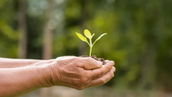 Sara Sofía, la pequeña de 9 años que sorprende en la COP 16