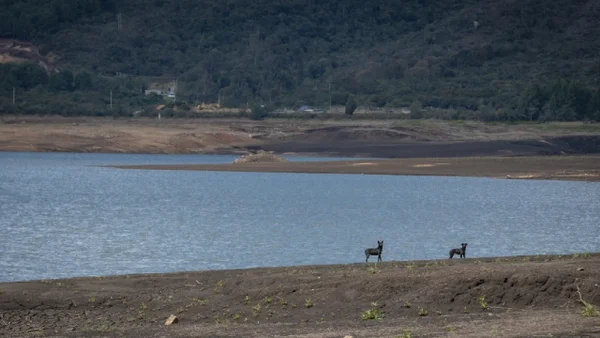 Importantes novedades en el nivel de los embalses de Cundinamarca en el inicio de la última semana de octubre