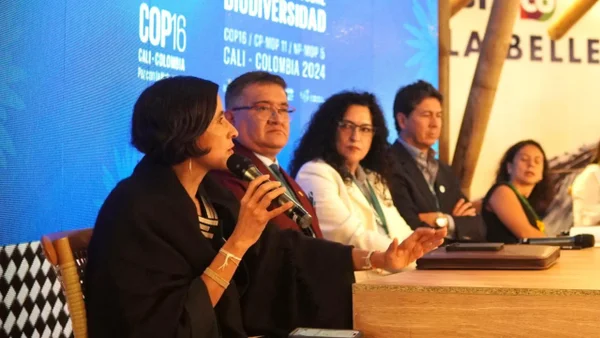 Las concertaciones que se lograron en la COP16 y las materias que siguen pendientes
