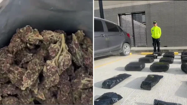 Policía encontró extraño tipo de marihuana en Bogotá: tendría fentanilo y extracto de hueso humano