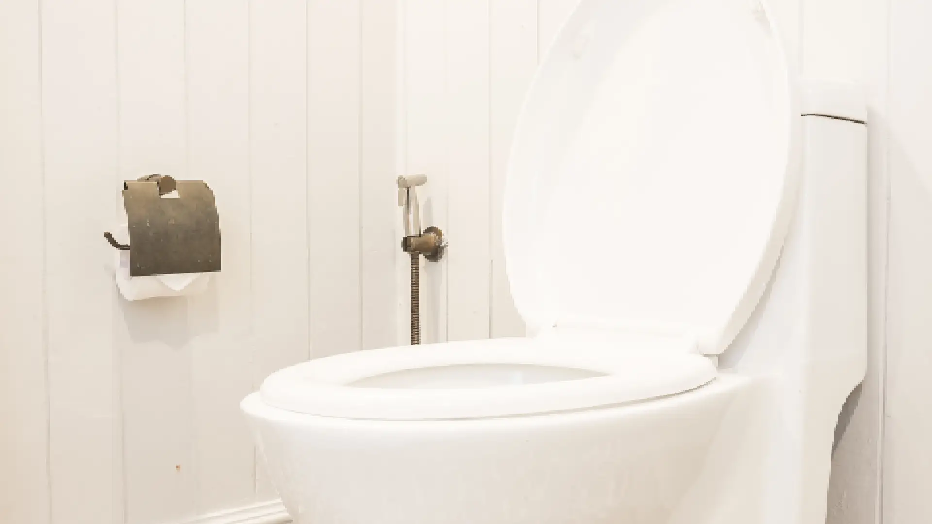 Por qué aplicar sal en el inodoro