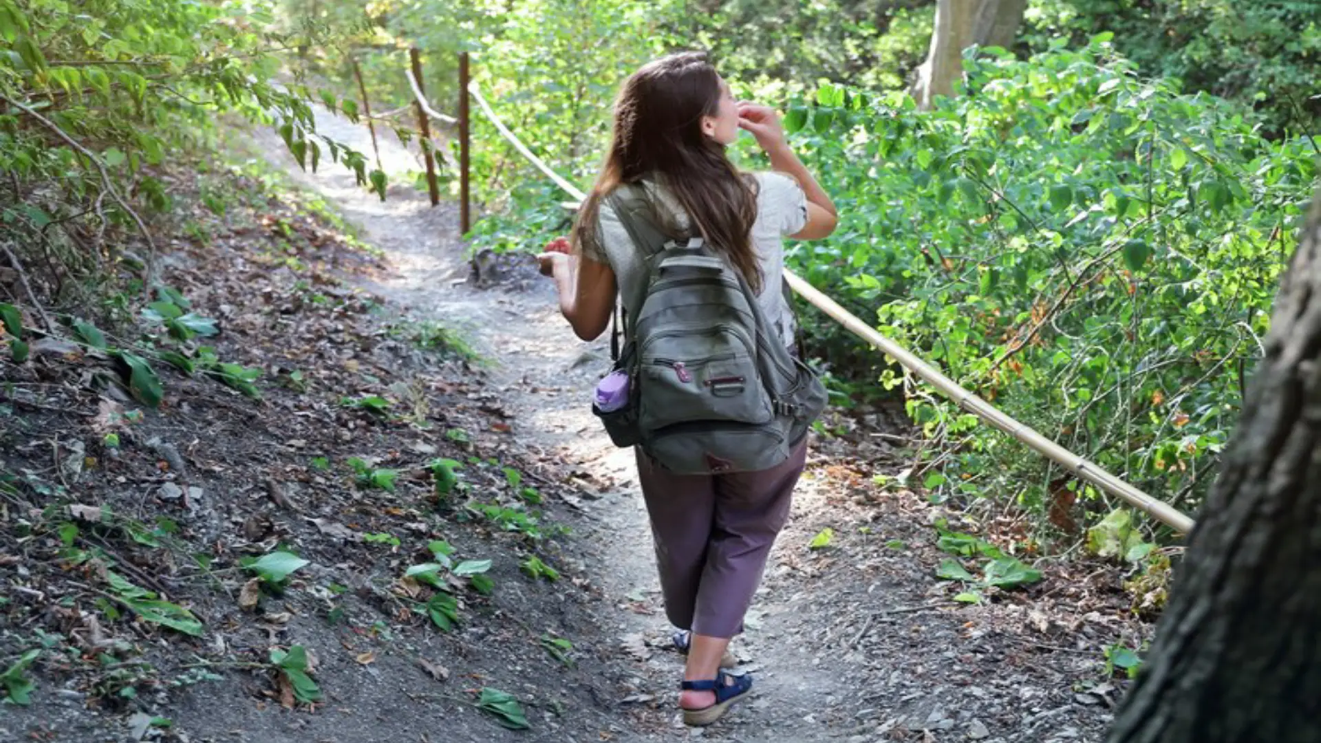 Caminata ecológica y sesión de yoga al aire libre en Bogotá.
