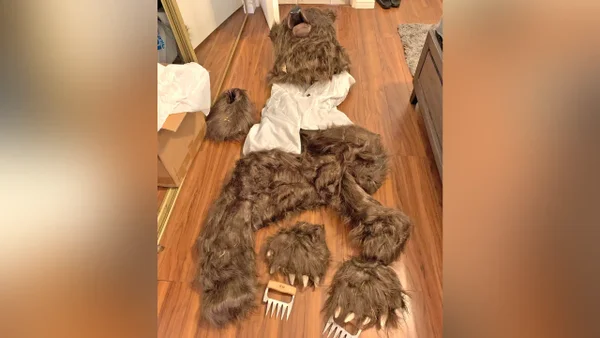 Personas disfrazadas de oso habrían estafado por más de USD100.000 a aseguradoras en California Personas disfrazadas de oso habrían estafado por más de USD100.000 a aseguradoras en California