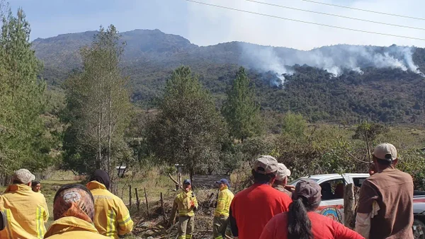 Ecuador declara emergencia nacional por incendios forestales y sequía
