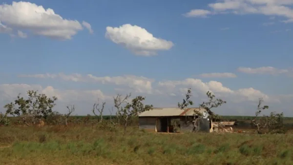 Falsos tramitadores se aprovecharon de los campesinos para estafarlos: así lo hicieron Falsos tramitadores se aprovecharon de los campesinos para estafarlos: así lo hicieron