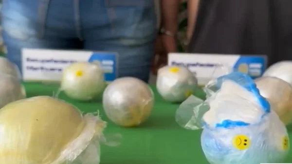 Así intentaban meter droga a la cárcel Modelo de Bucaramanga con pelotas