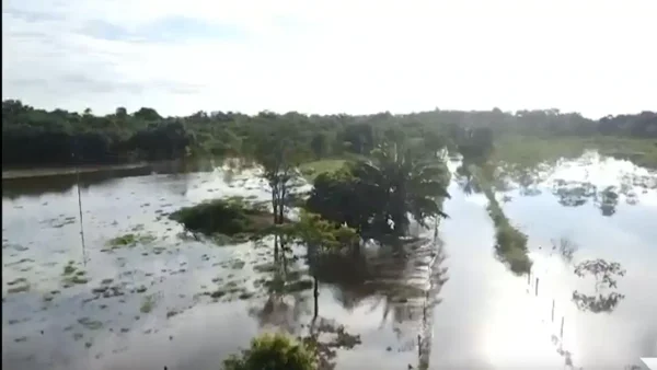 Tribunal ordena suspender resolución ambiental para la Sabana de Bogotá: ¿Qué está en juego?