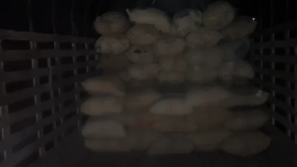 Más de 300 millones fueron recuperados en mercancía robada en Bogotá