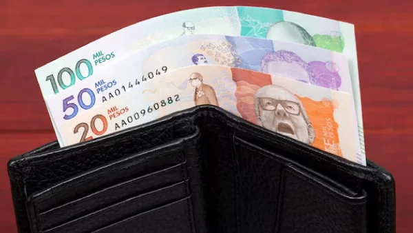 Hogares podrán tener hasta 100.000 pesos de ingreso con este importante subsidio