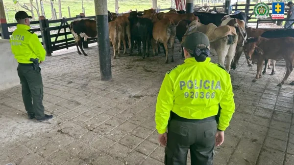 Los millonarios bienes de 'Pelomono', cabecilla del Clan del Golfo y cuñado de ‘Chiquito Malo’ Los millonarios bienes de 'Pelomono', cabecilla del Clan del Golfo y cuñado de ‘Chiquito Malo’