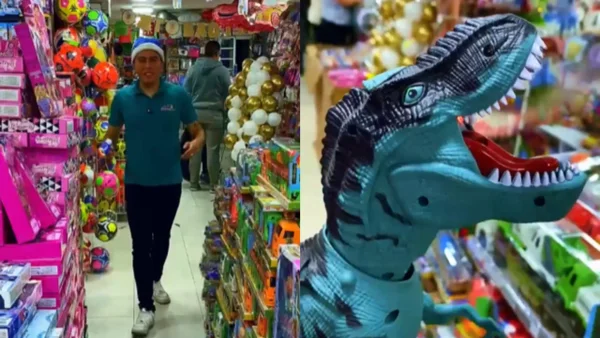 Juguetes desde $2.000: Tiktoker descubrió bodegas ocultas en Bogotá para sorprender en Navidad