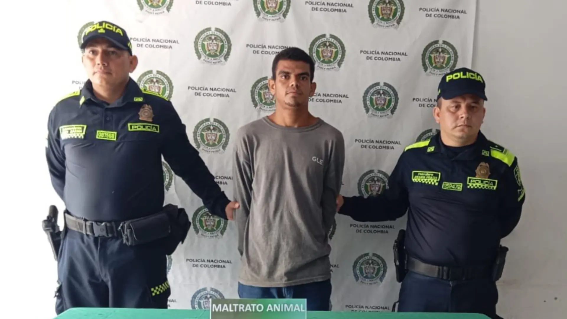 Hombre capturado por el presunto asesinato de un perrito en Ponedera