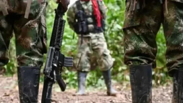 En el 2024 al menos 20 menores han sido asesinados por las disidencias: Federación de Víctimas de Colombia