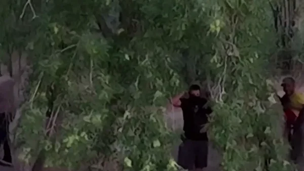 Falsas agencias y coyotes: los intermediarios de una pesadilla para quienes cruzan a EE. UU.