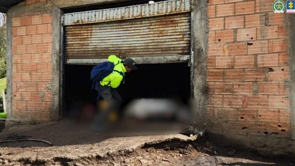 Cae red que presuntamente vendía carne de asnos, caballos y reses en mal estado de salud