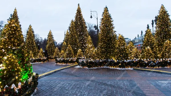 Bogotá celebrará novenas al aire libre: estos son los parques a los que podrá asistir
