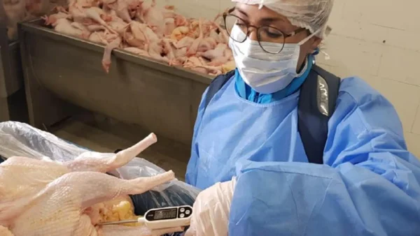 Más de 400 kilos de cárnicos fueron destruidos por incumplimiento de normas sanitarias en Bogotá