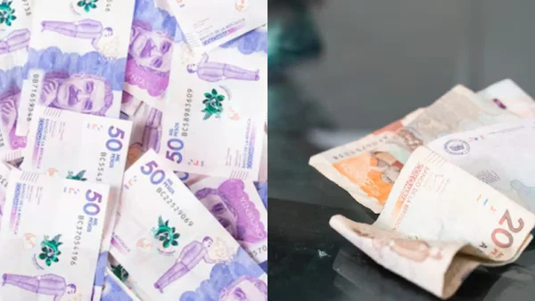 Esta es la fecha límite para que elija una administradora de pensiones