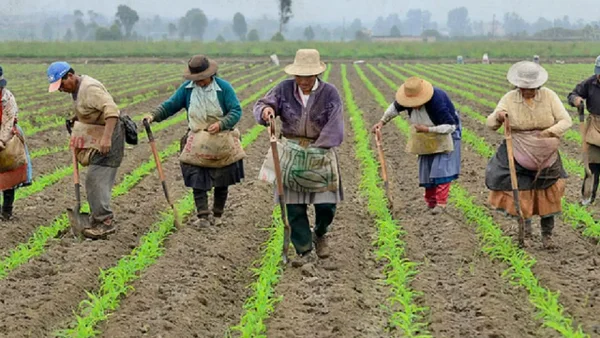 Polémica entre el Gobierno y Antioquia por zonas de protección para la producción de alimentos Polémica entre el Gobierno y Antioquia por zonas de protección para la producción de alimentos
