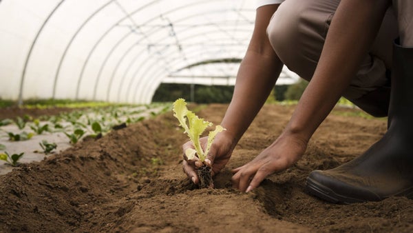 Gobernador de Antioquia demandará resolución que restringe uso de suelos en el departamento Gobernador de Antioquia demandará resolución que restringe uso de suelos en el departamento