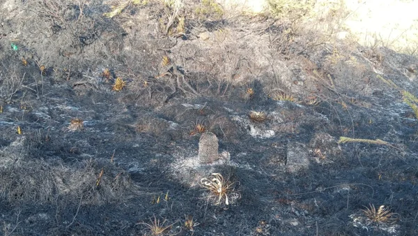 El incendio en el parque Chingaza fue 100% controlado: estas son las imágenes que dejó la emergencia