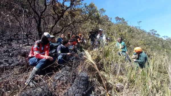 ¿Cuántas hectáreas se perdieron por el incendio en el Parque Natural Chingaza? ¿Cuántas hectáreas se perdieron por el incendio en el Parque Natural Chingaza?