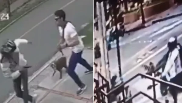 VIDEO | Ladrón que le disparó al joven en Chapinero intentó atacar a una pareja minutos antes VIDEO | Ladrón que le disparó al joven en Chapinero intentó atacar a una pareja minutos antes