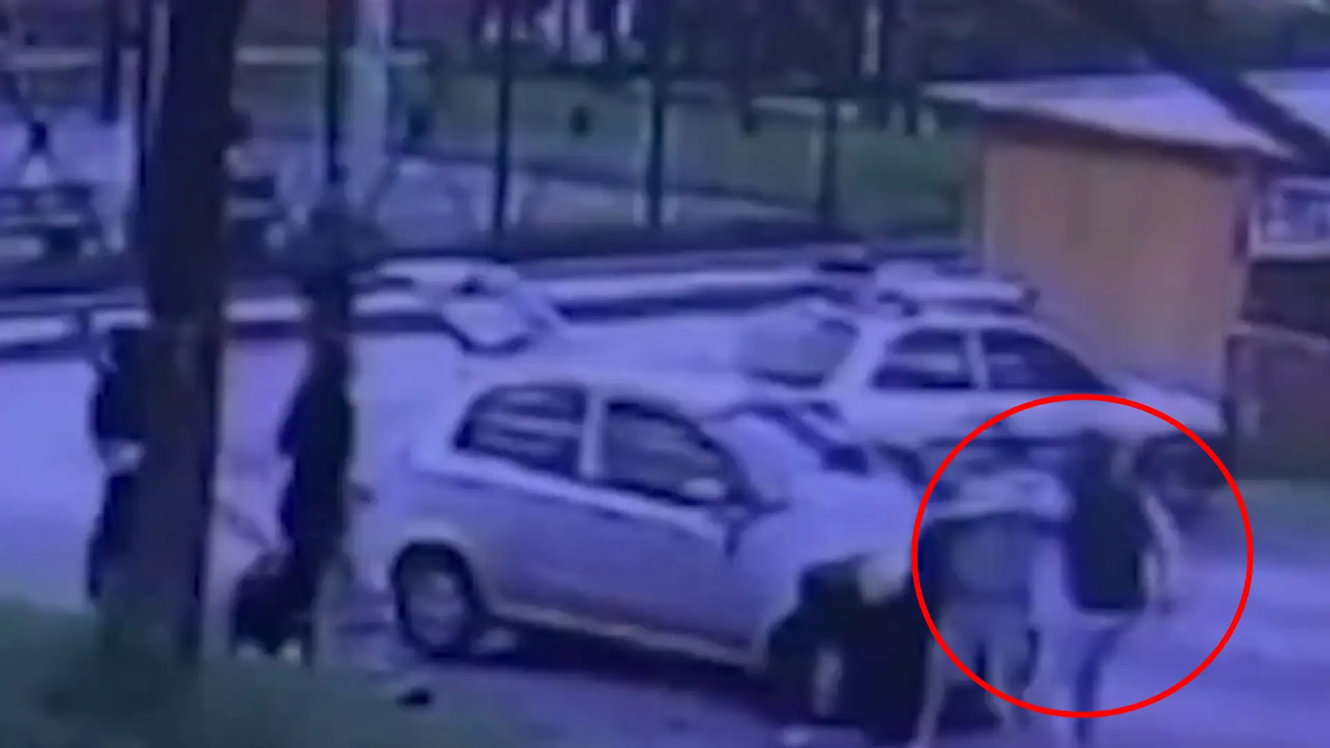 caso juan felipe rincon