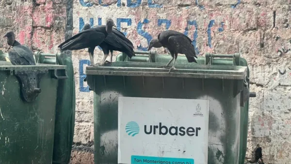 Denuncian penalmente a una empresa de servicios de aseo por presunta contaminación ambiental