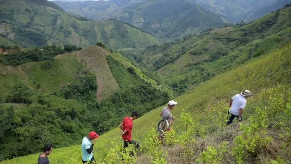Preocupante panorama: ya son más de 47.000 personas desplazadas por la crisis en el Catatumbo Preocupante panorama: ya son más de 47.000 personas desplazadas por la crisis en el Catatumbo