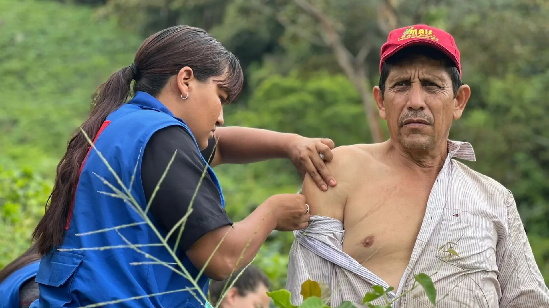 fiebre amarilla vacunas