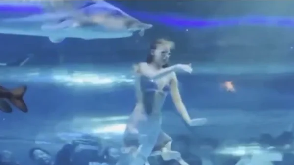 Enorme pez mordió a una nadadora en un show acuático: en video lo ocurrido