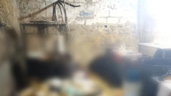 Encontraron centro clandestino de sacrificio de pollos en Cúcuta: mataban 900 diarios