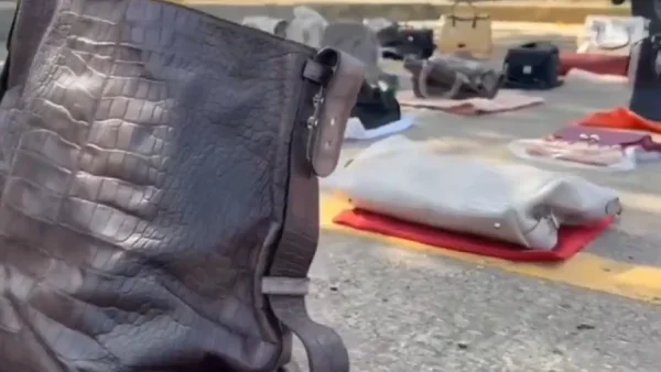 Incautan bolsos avaluados en 820 millones de pesos que estaban hechos con animales sacrificados Incautan bolsos avaluados en 820 millones de pesos que estaban hechos con animales sacrificados