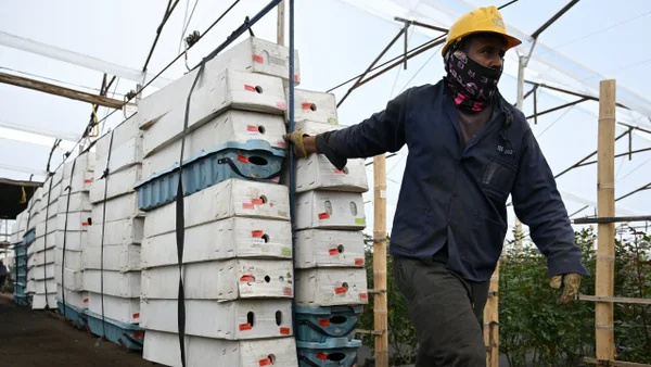 Producto estrella de Colombia conquista San Valentín con 900 millones de envíos a EE. UU.