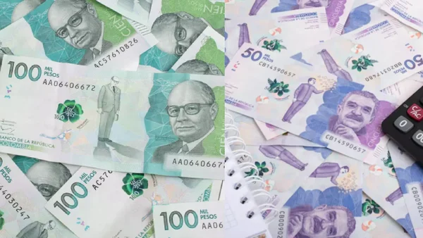 Estos son los impuestos que no se pagarán por suspensión de la emergencia económica: lista completa Estos son los impuestos que no se pagarán por suspensión de la emergencia económica: lista completa