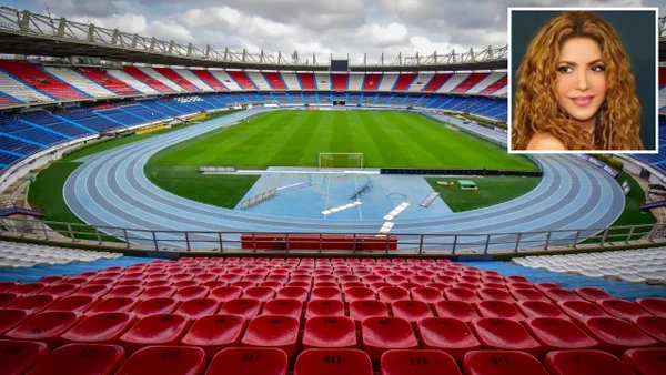 Fumigación por concierto de Shakira está poniendo en peligro a animales abandonados en Barranquilla