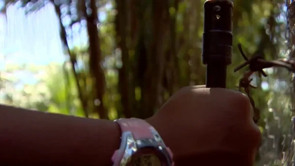 Ofrecen pagos, motos y armas a menores por redes sociales para ingresar a bandas multicrimen