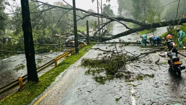 VIDEO | Fuertes lluvias en Medellín provocaron la caída de 22 árboles VIDEO | Fuertes lluvias en Medellín provocaron la caída de 22 árboles