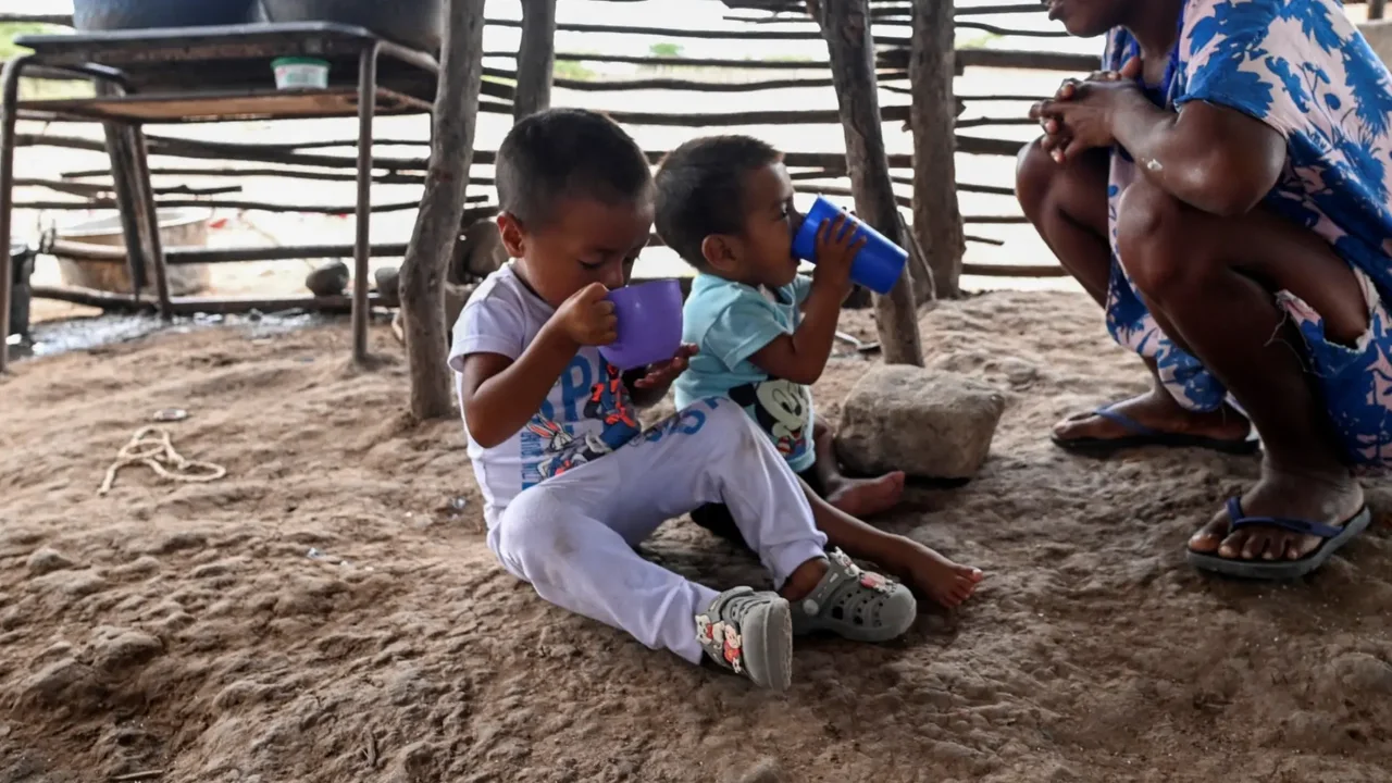 Crisis Uncovered in La Guajira with Over 1,000 Minors Lacking Identification and Serious State Failures