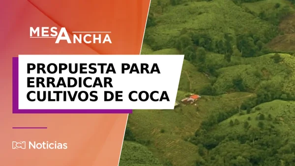 ¿Qué tan efectiva podría ser la iniciativa del Gobierno para erradicar cultivos de coca en el Catatumbo?