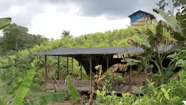 Polémica por propuesta de sustitución de cultivos en el Catatumbo. ¿Cómo garantizarán la seguridad de los campesinos?